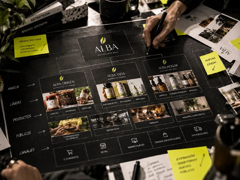 Mapa del portafolio de la marca Alba con líneas, productos y canales